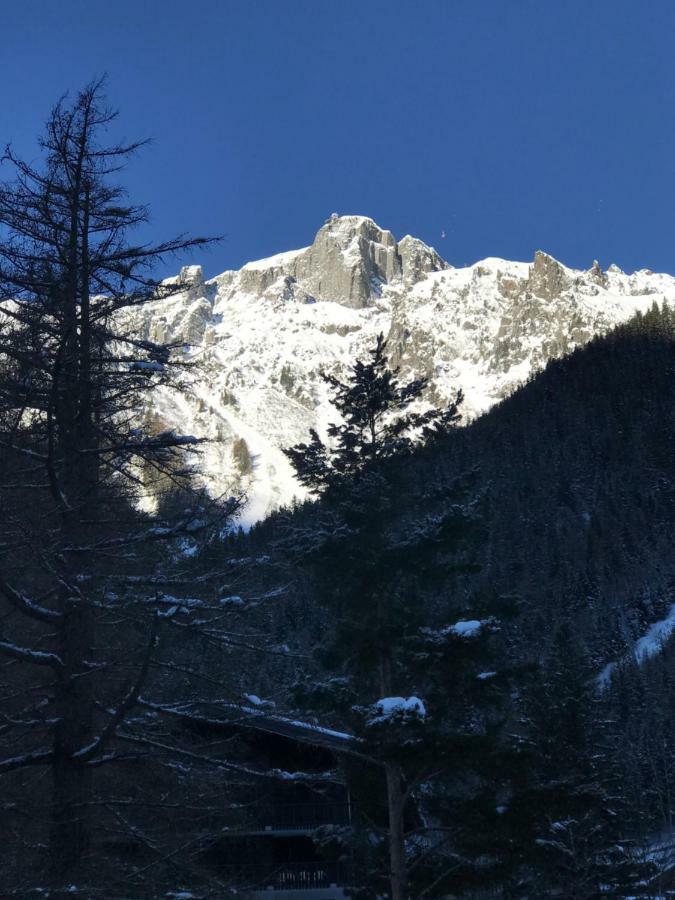 Brevent - Meleze Apartment Chamonix Exterior foto