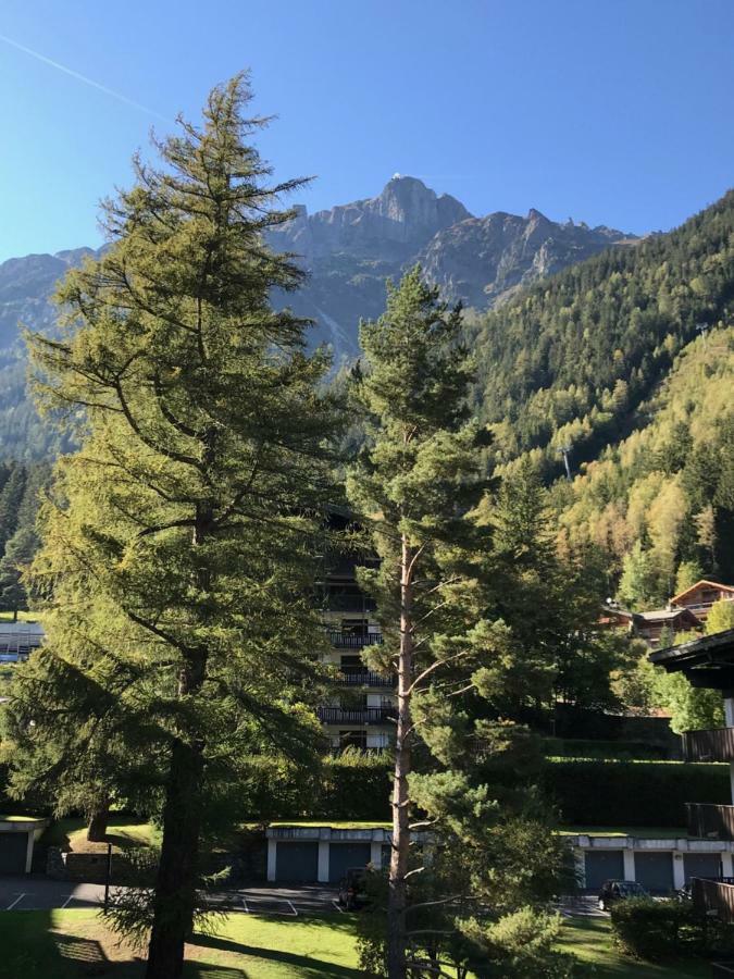 Brevent - Meleze Apartment Chamonix Exterior foto